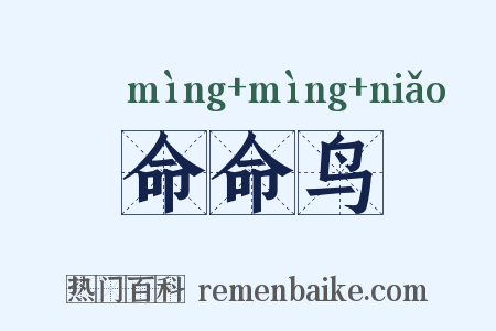 命命鸟是什么意思的图片